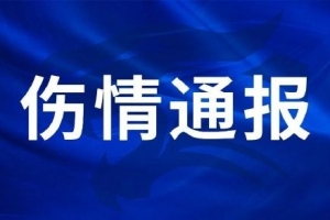 中超直播网小罗直播在哪看_中超直播网小罗直播在哪看免费高清直播_中超直播网小罗直播在哪看在线观看入口